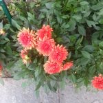 20170827_131013